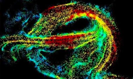 Сосудистую сеть человеческого мозга впервые показали в микроскопическом масштабе