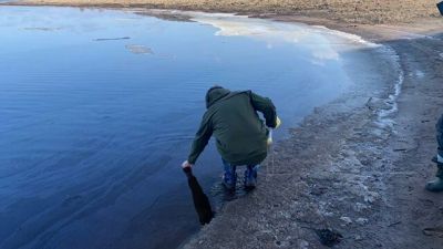 В Новгородской области произошел разлив нефтепродуктов - новости экологии на ECOportal