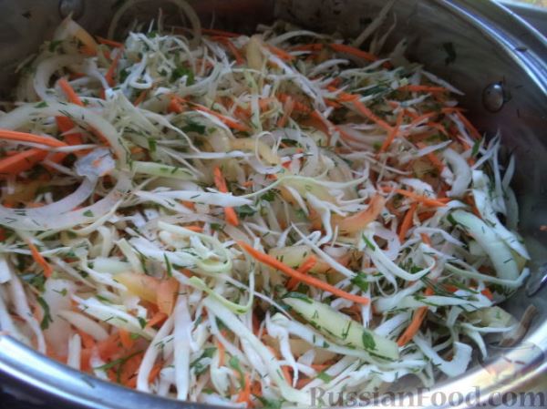 Салат из капусты, сладкого перца, моркови и лука